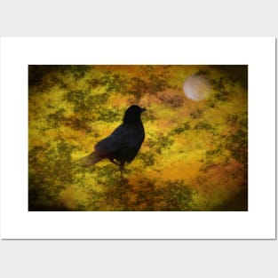 Black Raven Staring At The Moon Digital Art Posters and Art